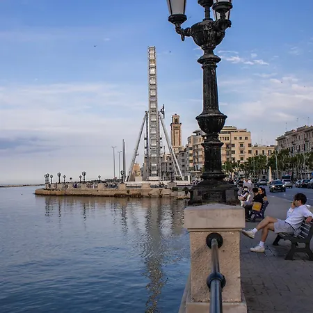 Domus Carulli 23 Pensionat